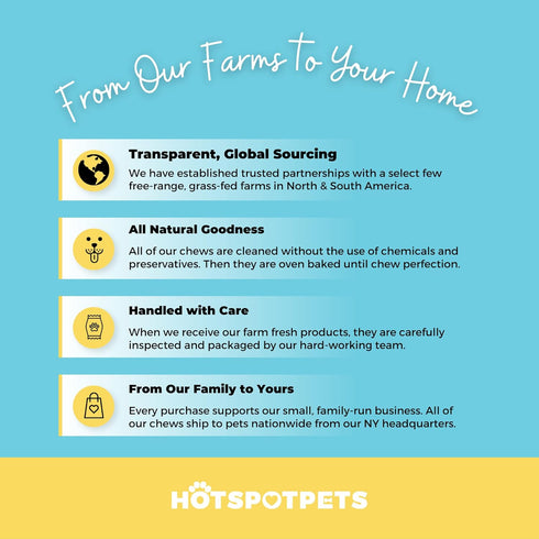 hotspot pets Premium 12'' Beef Trachea for Dogs, All Natural Long Lasting Chews, Rich in Glucosamine & Chondroitin