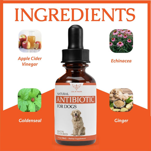 Natural Antibiotics for Dogs, Dog Ear Infection Treatment, Yeast Infection Relief, 1 oz