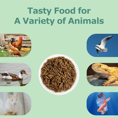 5LB WORMSKING Dried Black Soldier Fly Larvae, More Calcium Than Dried Mealworms, High Protein Chicken Feed,Duck Food