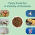 5LB WORMSKING Dried Black Soldier Fly Larvae, More Calcium Than Dried Mealworms, High Protein Chicken Feed,Duck Food