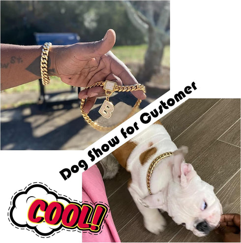 PRADOG Gold Chain Dog Collar, Stainless Steel Cuban Link Collar with Zirconia Buckle, Designer Bling Puppy Necklace