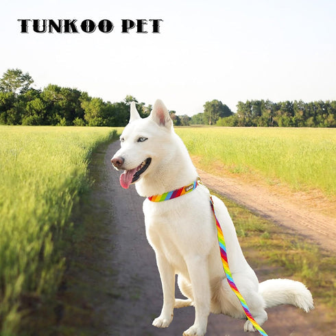 Rainbow Dog Collar, Cute Adjustable Striped Collar for LGBT Pride Month with Strong Plastic Buckle for Small Medium