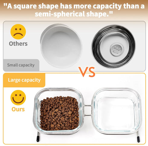 Elevated Cat Bowls, 15° Tilted Glass Raised Food Bowl with Stainless Steel Stand, 2 Large Capacity Bowls