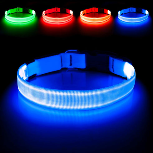 LED Dog Collar, USB Rechargeable Lighted Adjustable Nylon Safety Collar for Dogs Glow in The Dark (Blue, Medium)