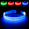 LED Dog Collar, USB Rechargeable Lighted Adjustable Nylon Safety Collar for Dogs Glow in The Dark (Blue, Medium)