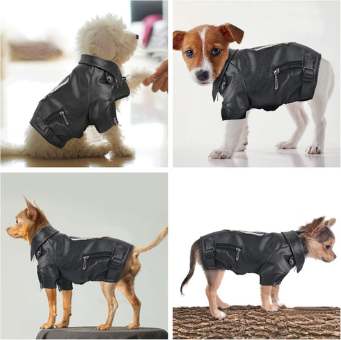 Warm Winter Dog Coat for Small and Medium Dogs - Windproof Waterproof Puppy Jacket - Black Large