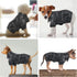 Warm Winter Dog Coat for Small and Medium Dogs - Windproof Waterproof Puppy Jacket - Black Large