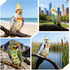 HJZHII 4 Pcs Bird Diaper, Parrot Diapers with Waterproof Inner Reusable Flight Suit Cute Soft Bird Diaper Clothes