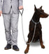 CtopoGo Premium Chain Heavy Duty Dog Leash, Soft Padded Leather Handle Lead, 4 ft. x 5.0 mm (60-200 lbs.)