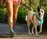 FAIRWIN Leather Short Dog Leash 12" - Traffic Lead Leash for Large Dogs Training and Walking (Width: 3/4") (Brown)