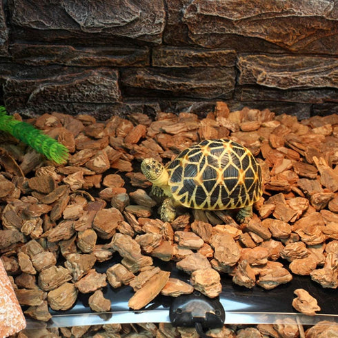 2 Pack 14 W Reptile Heating Pad - Under Tank Heater with Temperature Control for Reptiles, Turtle, Tortoise, Snakes,