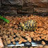 2 Pack 14 W Reptile Heating Pad - Under Tank Heater with Temperature Control for Reptiles, Turtle, Tortoise, Snakes,