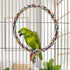 Bird Rope Swing - Colorful Perch Climbing Toy for Parrots, Budgie, Cockatiel, Cockatoo, Conure (M, 10.4 inch)