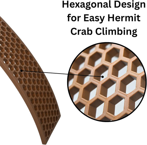Lucky Critter Hermit Crab Ladder Ramp Climbing Toy | Hermit Crab Tank Enrichment Decor | Hermit Crab Decoration
