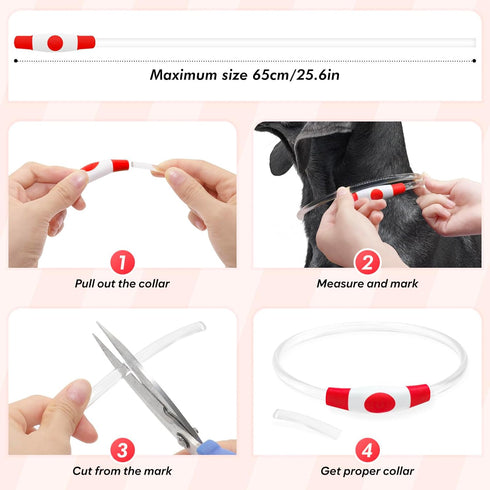 BSEEN Light Up Dog Collar - Rechargeable LED Dog Collar, 360° Glow in The Dark Pet Collar for Night Walking (Red 70cm)