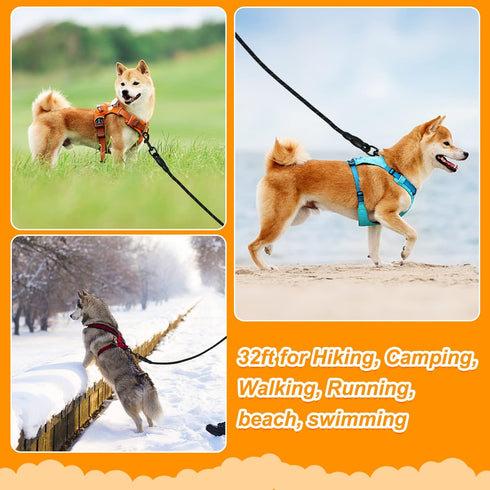 Vivifying Long Dog Leash, 20ft Reflective Training Leash for Outside, Soft Handle for Beach and Swimming (Black)