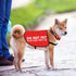 JXGZSO Nervous Dog Vest, Anxious Dog Slogan Warning Jacket, Do Not Pet, No Hand Sniffs, Size L