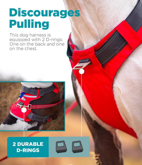 Outward Hound Boulder Adventure Adjustable Dog Harness with Pockets, Small, Red