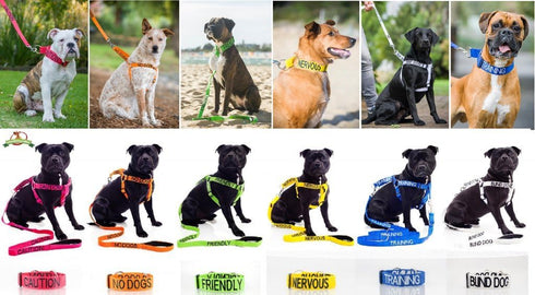 Dexil Limited DO NOT PET Red Color Coded Padded Dog Leash, 4ft, Prevents Accidents by Warning Others