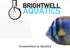 500 ml Brightwell Aquatics pH+ Alkalinity and pH Booster for Marine & Reef Aquariums Increases pH and KH Stability