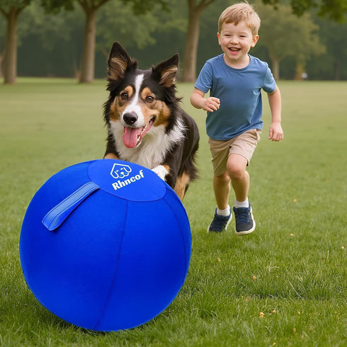 Rhncof 25 Herding Ball for Dogs/Horse: Herding Ball for Australian Shepherd, Outdoor Interactive Play Balls Large
