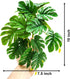 2Pack Woyrise Reptile Plants for Terrarium, Artificial Hanging Plants with Suction Cups, Amphibian Tank Habitat Decor