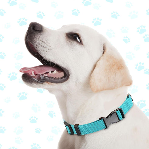 9 Pieces Adjustable Dog Collar for Medium Dogs - Soft Nylon with Quick Release Buckle, Bulk for Walking Running