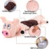 Plush Squeaky Dog Toys for Dogs, Interactive Dog Tug of War Toy for Small/Medium/Large Breed (Pig)