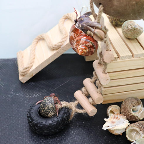Neeenn Hermit Crab Climbing Toy, Natural Coconut Reptile Hideout with Ladder, Hanging Coconut Reptile House, Cage