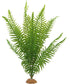 JIHAQUA Fake Fern Plants, Reptile Plastic Terrarium Decor, Reptiles Amphibians Tank Accessories for Crested Gecko