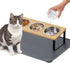 Upgraded Elevated Cat Bowls with Food Mat, 15° Tilted Stand Anti Vomiting Raised Dishes for Cats and Puppy