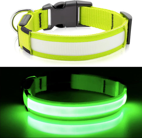 BSEEN Light Up Dog Collar, Rechargeable LED Reflective Pet Glow Collar for Night Walking (Neon Green, Medium)