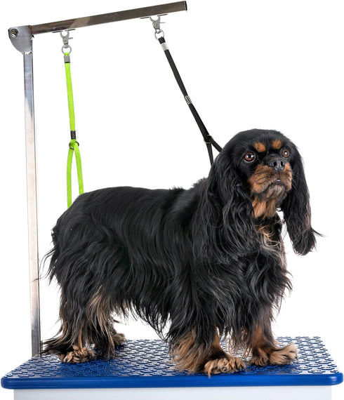 Pet Dog Grooming Loop, Nylon Restraint Noose Adjustable Fixed Safety Tether Straps for Grooming Table Bathtub (2 Pack)