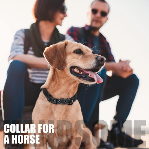 Fida Heavy Duty Dog Collar, Ultra Comfortable Soft Neoprene Padded, Adjustable Reflective Nylon Collar for Medium