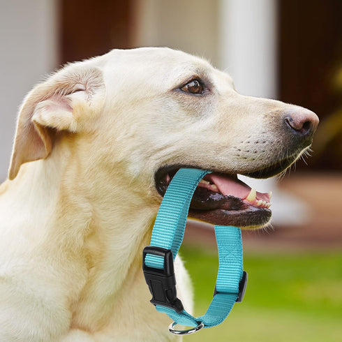 12 Pieces Adjustable Nylon Dog Collar Bulk with Quick Release Buckle for Walking, Running, Training - Medium