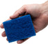 Penn-Plax WZP1 Wizard Grime Scrubber Pad - 3” x 4” for Glass Tanks