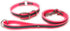 Regal Dog Products Medium Pink Reflective Dog Collar and Leash Set - Waterproof Biothane with Heavy Duty D Ring