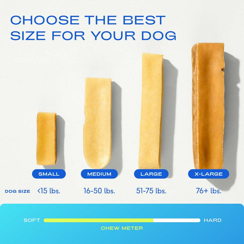 Native Pet Yak Cheese Himalayan Dog Chews, Long Lasting Dental Sticks for Medium Breeds, 100% All Natural, 3 Per Pack