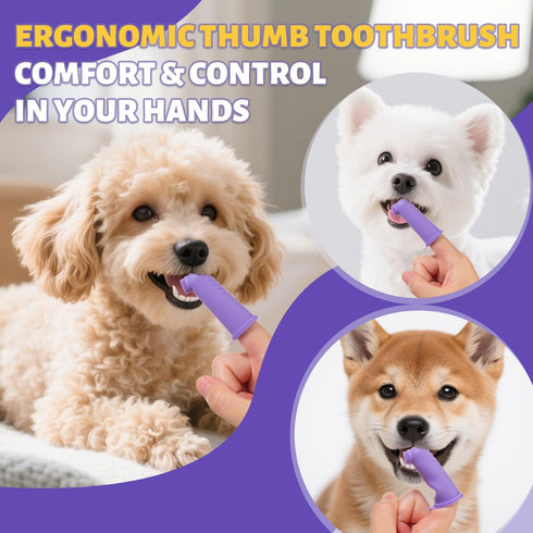 Recommended 99% 2.5 oz. Vet Small Dog Teeth Brushing Kit - Soft Brush and Finger Brush removes of Plaque, Natural