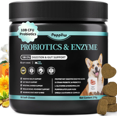 Probiotics for Dogs, Digestive Enzymes & Pumpkin Fiber for Gut Health and