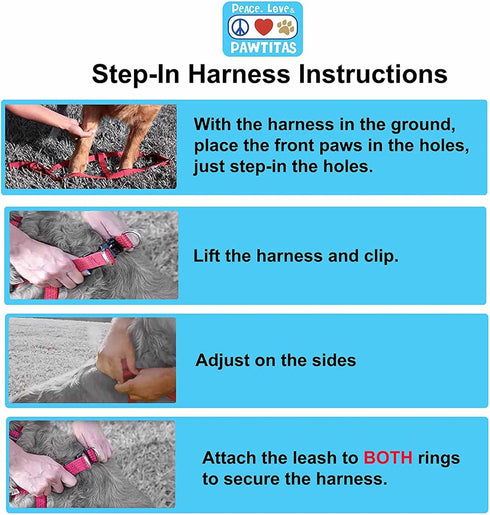 Pawtitas Solid Color Step-in Dog Harness for Training and Walking Extra Small Dogs, Lush Green