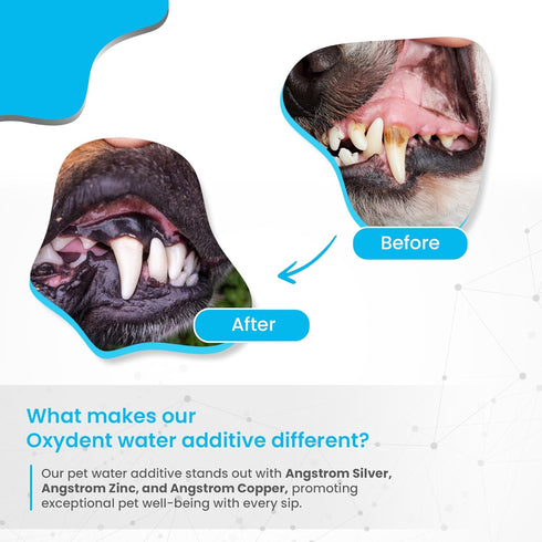 Premium Pet Dental Care Solution - Water Additive & Mouthwash for Dogs & Cats, Fights Tartar & Plaque