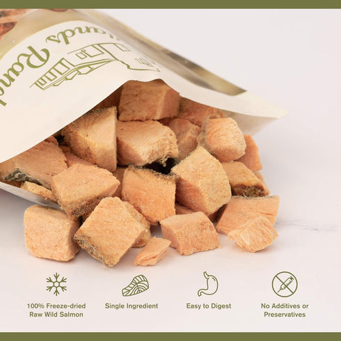 BADLANDS RANCH by Katherine Heigl Superfood Bite Freeze-Dried Raw Wild Salmon Dog Treats High Protein Single-Ingredient