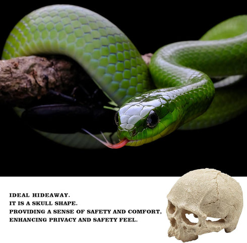Reptile Aquarium Skull Decor, Snake Hideout Resin Skeleton Head Fish Hide, 4.7 × 3.5 × 3.7 Inch