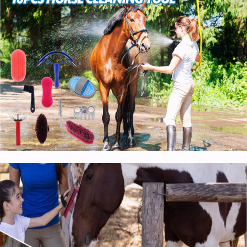 10PCS Set, Set Horse Cleaning Tool Horse Grooming Care Kit Horse Brush with Hoof Pick Sweat Scraper Assorted Hair