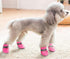 YAODHAOD Dog Shoes for Winter, Fleece Warm Snow Booties for Small Medium Dogs, Size 5: Pink