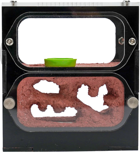 Live Ant Farm Habitat - Natural Learning Toy for Kids