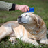 4 Different Flea Combs, Stainless Steel Round Teeth Dog Cat Lice Combs, Durable Fine Tooth Pet Tear Stain Remover Tool,