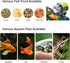 Automatic Fish Feeder, Lychee Fish Food Vacation Feeder for Aquarium Fish Tank, Moisture-Proof Electric Timing