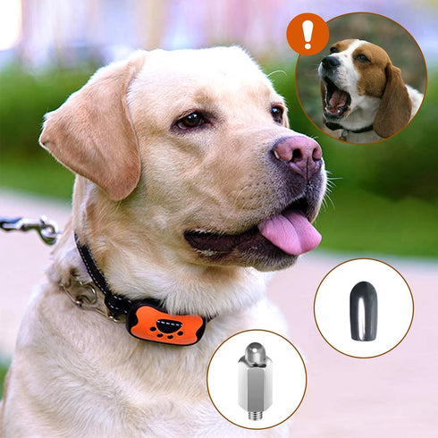 20 PCS Extra Contact Points for Dog Training Collars, Replacement Prongs with Rubber Tips for Pet Training